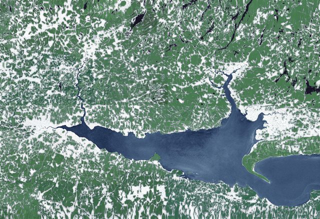 Alex Fischer, Mouth, 2012, digital, transparency